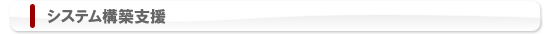 システム構築支援