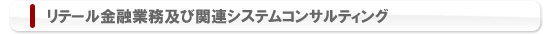 リテール金融業務及び関連システムコンサルティング