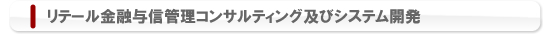 リテール金融与信管理コンサルティング及びシステム開発