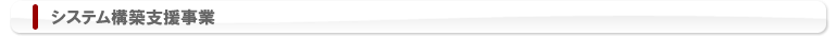 システム構築支援事業