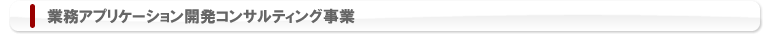 業務アプリケーション開発コンサルティング事業